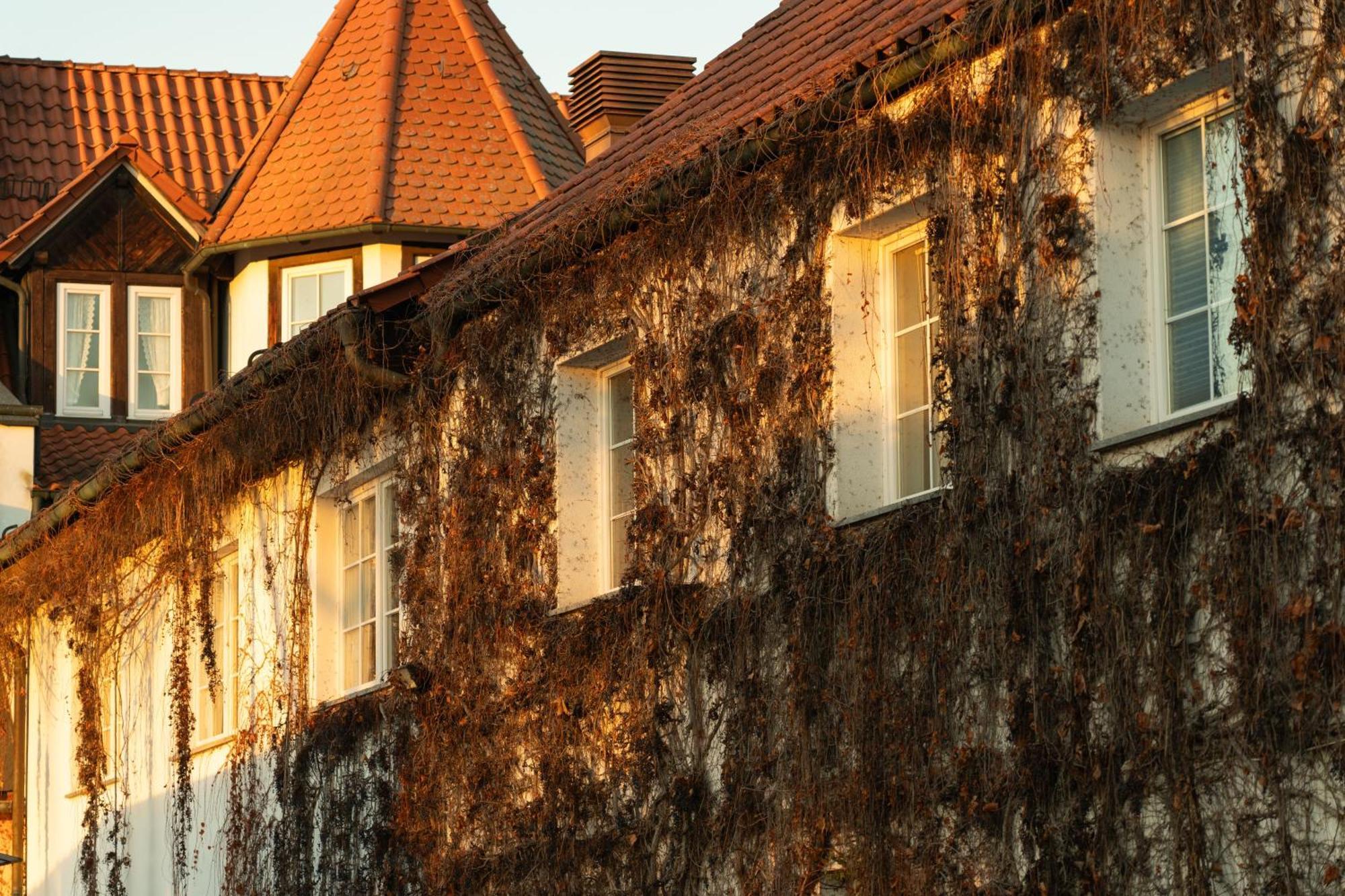 Landhotel & Restaurant Kains Hof Uhlstädt Kültér fotó